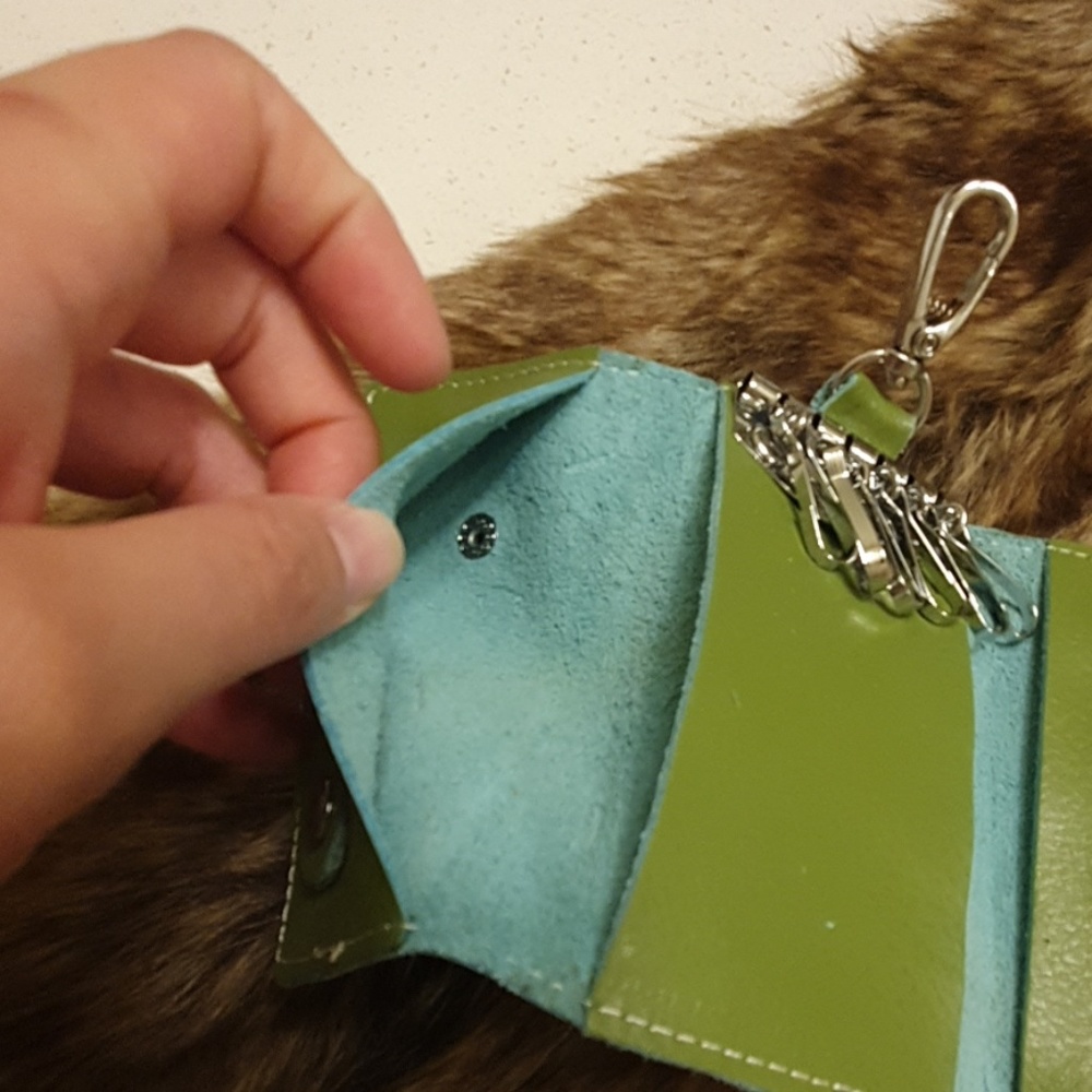 Key Case - Picture 4 of 5